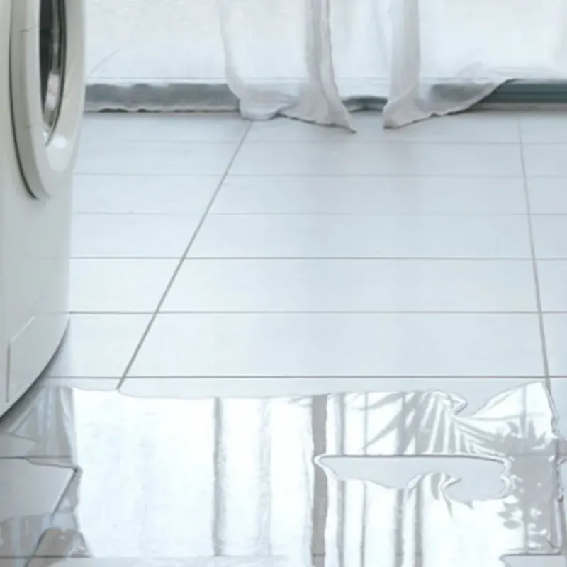 Appliance Leak Cleanup in Fairview, GA