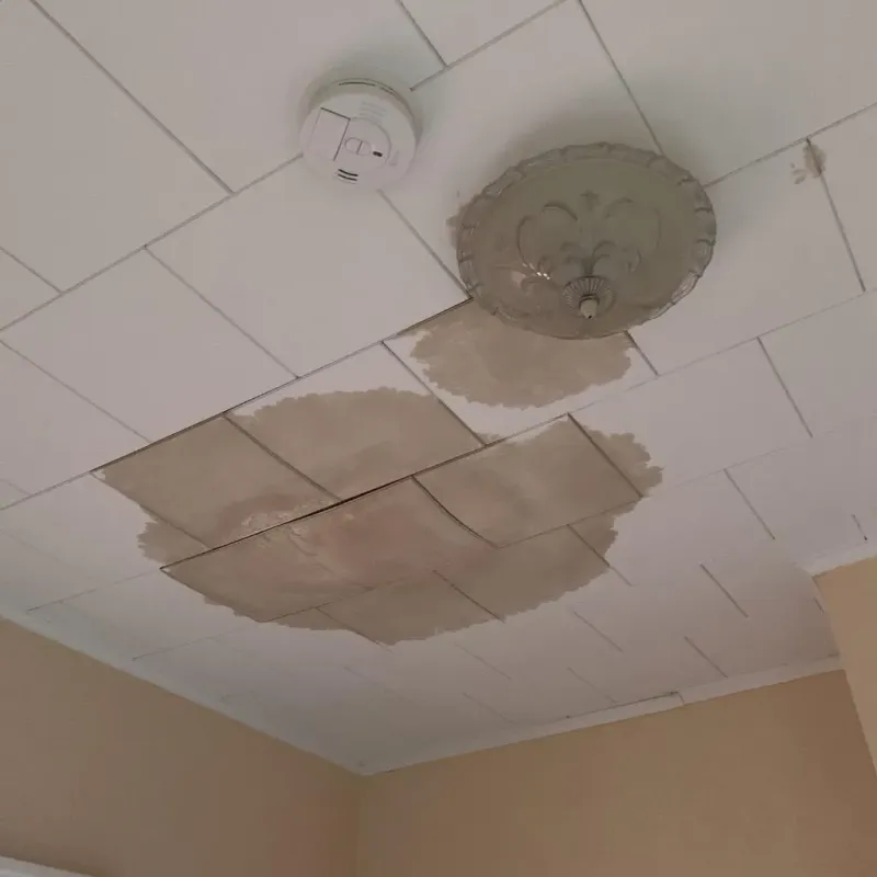 Ceiling Water Damage Repair in Fairview, GA
