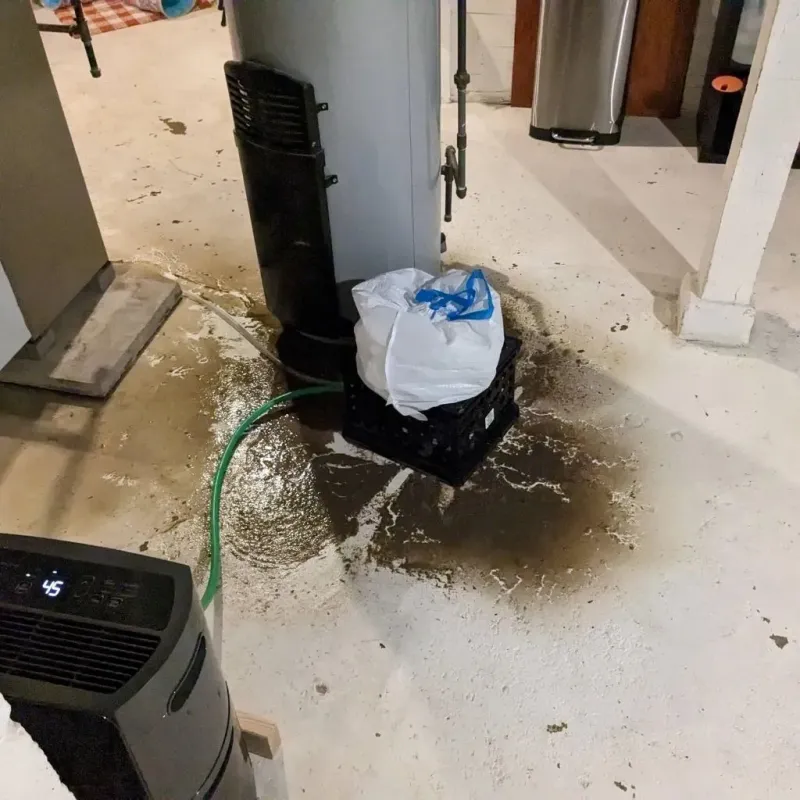 Sewage Backup Cleanup Service in Fairview, GA